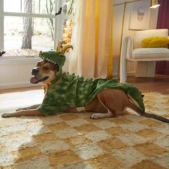 Marvel 's Loki Alligator Dog & Cat Costume -Pet Dog Supply Store 335282 PT8. AC SS1800 V1660059836