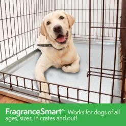 Simple Solution FragranceSmart Odor Control All Day, Green Tea Fragrance Odor Neutralizer With Wetness Indicator Dog Pads, 100 Count -Pet Dog Supply Store 339752 PT5. AC SS1800 V1636062089