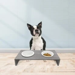 Cosmo Furbabies Double Dog & Cat Diner, Gray 13 Cosmo Furbabies Double Dog & Cat Diner, Gray -Pet Dog Supply Store 341993 PT5. AC SS1800 V1636063012