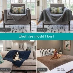 Rocket & Rex Waterproof Cat & Dog Blanket -Pet Dog Supply Store 343917 PT1. AC SS1800 V1635518543