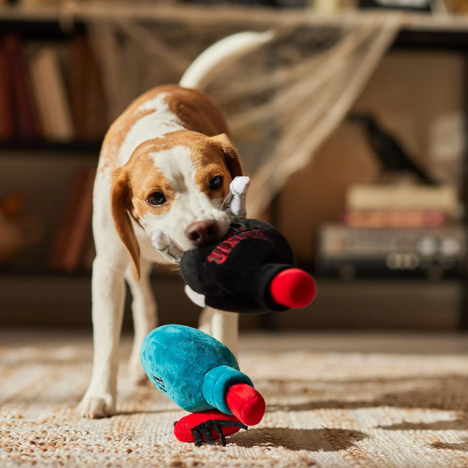 Frisco Halloween Elixirs Plush Squeaky Dog Toy 5 Frisco Halloween Elixirs Plush Squeaky Dog Toy - Image 3