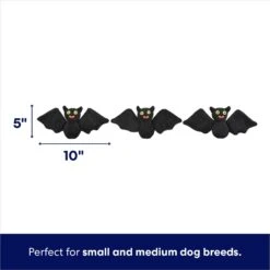 Frisco Halloween Haunted House Hide & Seek Puzzle Plush Squeaky Dog Toy -Pet Dog Supply Store 344136 PT2. AC SS1800 V1690911191