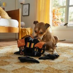 Frisco Halloween Haunted House Hide & Seek Puzzle Plush Squeaky Dog Toy -Pet Dog Supply Store 344136 PT3. AC SS1800 V1657657042