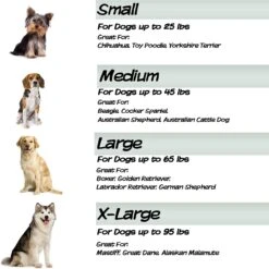 Pet Adobe Foam Covered Dog Bed 13 Pet Adobe Foam Covered Dog Bed -Pet Dog Supply Store 344921 PT4. AC SS1800 V1637283704