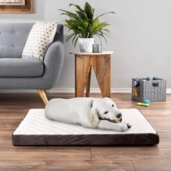 Pet Adobe Bamboo Charcoal-Infused Foam Covered Dog Bed 15 Pet Adobe Bamboo Charcoal-Infused Foam Covered Dog Bed -Pet Dog Supply Store 344923 PT5. AC SS1800 V1637280823