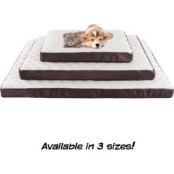 Pet Adobe Bamboo Charcoal-Infused Foam Covered Dog Bed 17 Pet Adobe Bamboo Charcoal-Infused Foam Covered Dog Bed -Pet Dog Supply Store 344923 PT7. AC SS1800 V1637285283