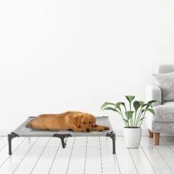 Pet Adobe Cot-Style Elevated Pet Bed -Pet Dog Supply Store 344932 PT6. AC SS1800 V1637285803