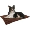 Pet Adobe Cushioned Covered Dog Bed -Pet Dog Supply Store 344955 MAIN. AC SS1800 V1637280403
