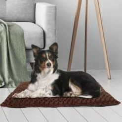 Pet Adobe Cushioned Covered Dog Bed -Pet Dog Supply Store 344955 PT4. AC SS1800 V1637280158