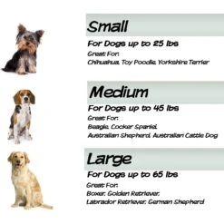 Pet Adobe Cushioned Covered Dog Bed -Pet Dog Supply Store 344955 PT5. AC SS1800 V1637287678