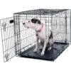 Pet Adobe 2-Door Medium Foldable Dog Crate -Pet Dog Supply Store 345016 MAIN. AC SS1800 V1637284985