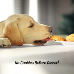 Pet Adobe Freestanding 3-Panel Wood Dog Gate -Pet Dog Supply Store 345106 PT4. AC SS1800 V1637286719