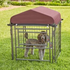 Two By Two The Hangout Expandable Steel Dog Kennel, Small, Black