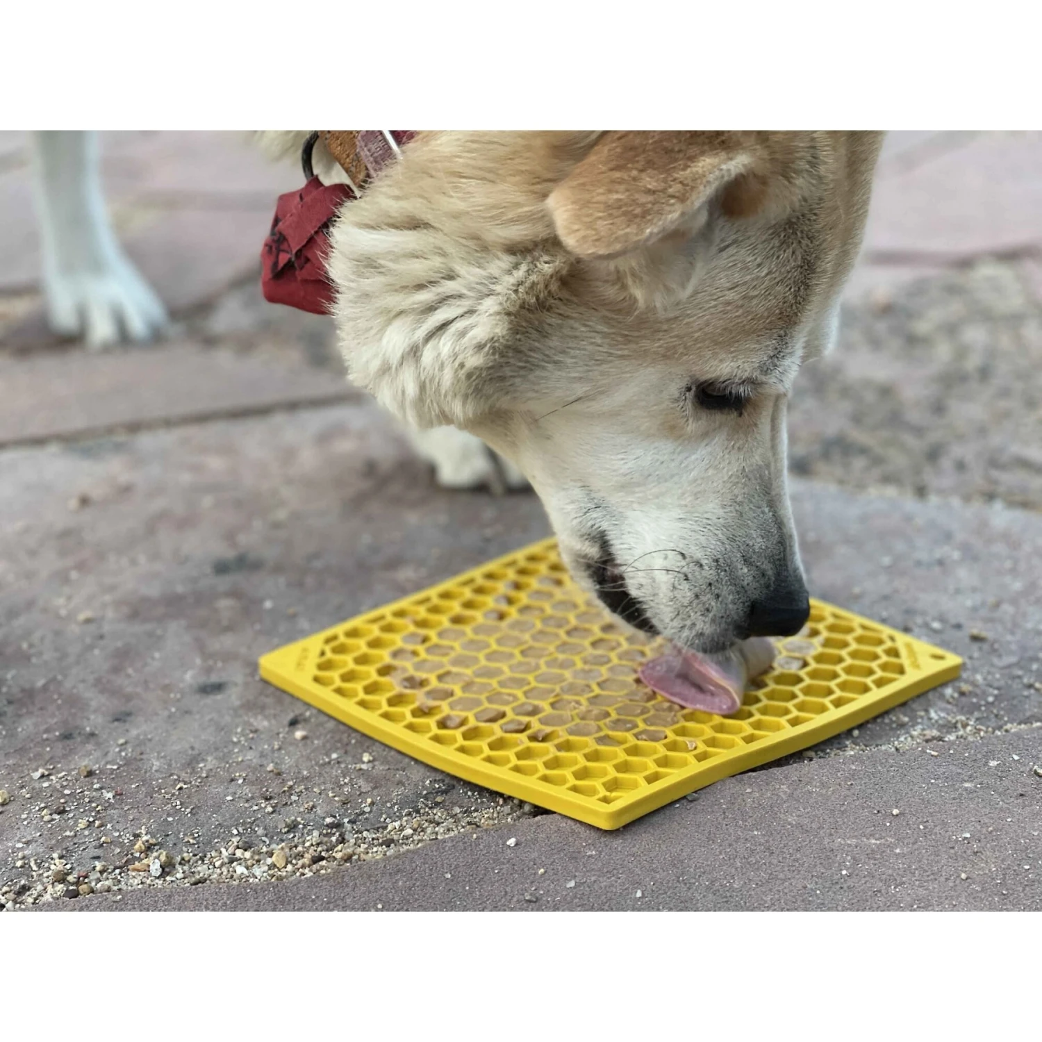 SodaPup Emat Honeycomb Dog Lick Mat 10 SodaPup Emat Honeycomb Dog Lick Mat - Image 8