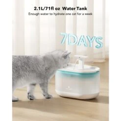 Petlibro Capsule Automatic Dog & Cat Water Fountain, 2-L 16 Petlibro Capsule Automatic Dog & Cat Water Fountain, 2-L -Pet Dog Supply Store 352552 PT6. AC SS1800 V1694184632