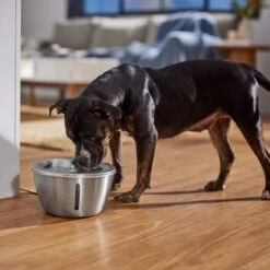 Frisco Stainless Steel Heart Dog & Cat Fountain -Pet Dog Supply Store 355816 PT5. AC SS1800 V1665684540