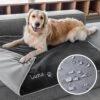 GoTags Personalized Dog Blanket