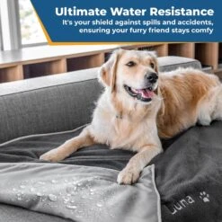 GoTags Personalized Dog Blanket -Pet Dog Supply Store 357892 PT4. AC SS1800 V1643224287