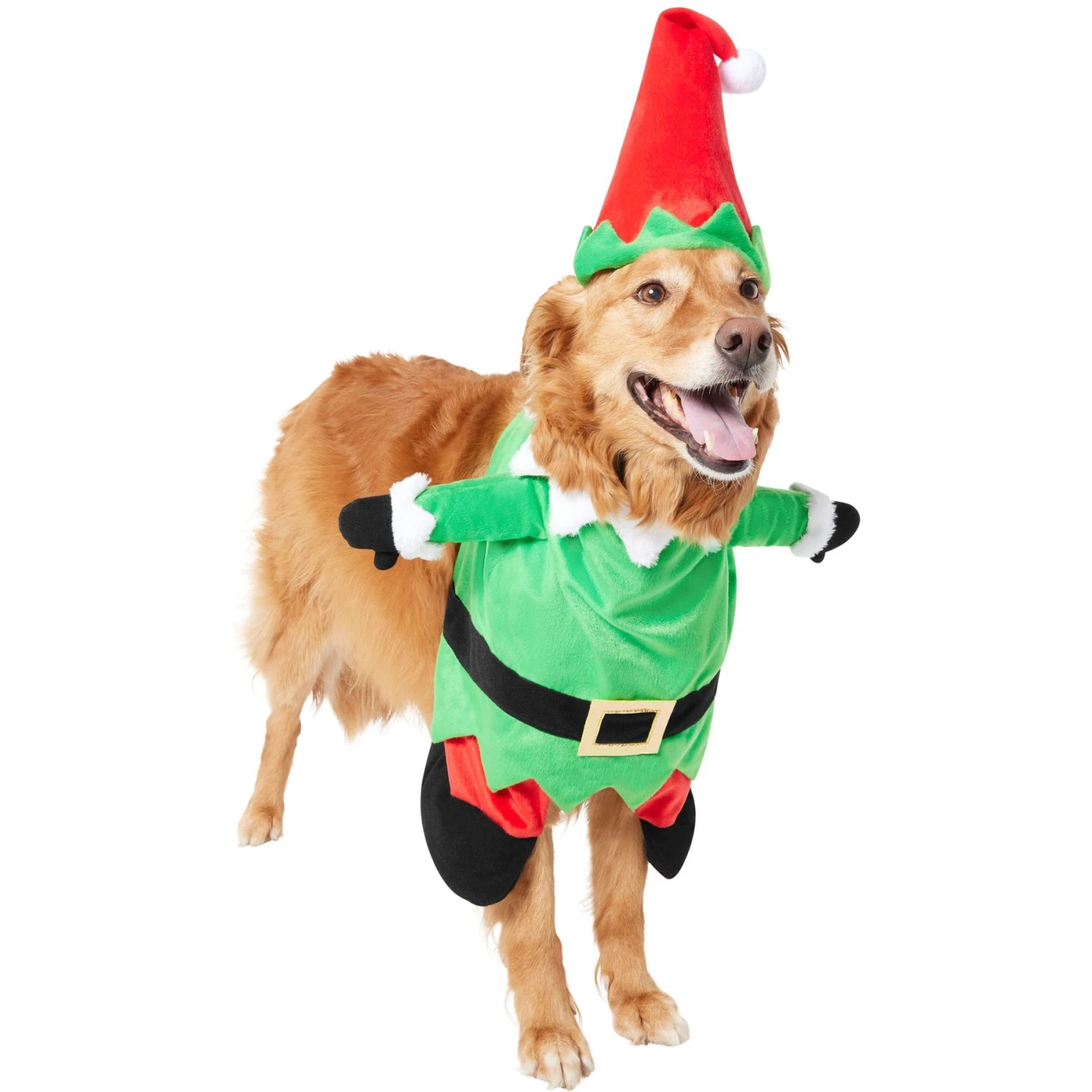 Frisco Front Walking Elf Dog & Cat Costume 7 Frisco Front Walking Elf Dog & Cat Costume - Image 5