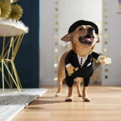 Frisco Front Walking New Years Tuxedo Dog & Cat Costume -Pet Dog Supply Store 358028 PT7. AC SS1800 V1661799888