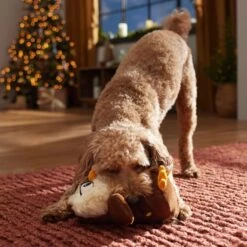 Frisco Holiday Festive Owl Plush Squeaky Dog Toy 8 Frisco Holiday Festive Owl Plush Squeaky Dog Toy -Pet Dog Supply Store 360919 PT3. AC SS1800 V1661874361