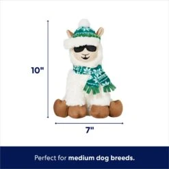 Frisco Holiday Fa La La Llama Plush Squeaky Dog Toy 8 Frisco Holiday Fa La La Llama Plush Squeaky Dog Toy -Pet Dog Supply Store 360924 PT1. AC SS1800 V1695046159