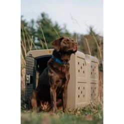 Dakota 283 G3 Framed Door Dog Kennel 8 Dakota 283 G3 Framed Door Dog Kennel -Pet Dog Supply Store 361542 PT3. AC SS1800 V1652768192