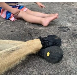 Muttluks Trackers All-Season Dog Boots, Black, 2 Count -Pet Dog Supply Store 361661 PT3. AC SS1800 V1648259200