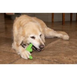 Hugglehounds LeLe Tuffut-Flex Flyer Dog Toy, Green -Pet Dog Supply Store 362026 PT7. AC SS1800 V1644018113