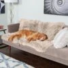 FurHaven Polyester Long Fur & Velvet Dog Blanket 2 FurHaven Polyester Long Fur & Velvet Dog Blanket -Pet Dog Supply Store 363174 MAIN. AC SS1800 V1657657265