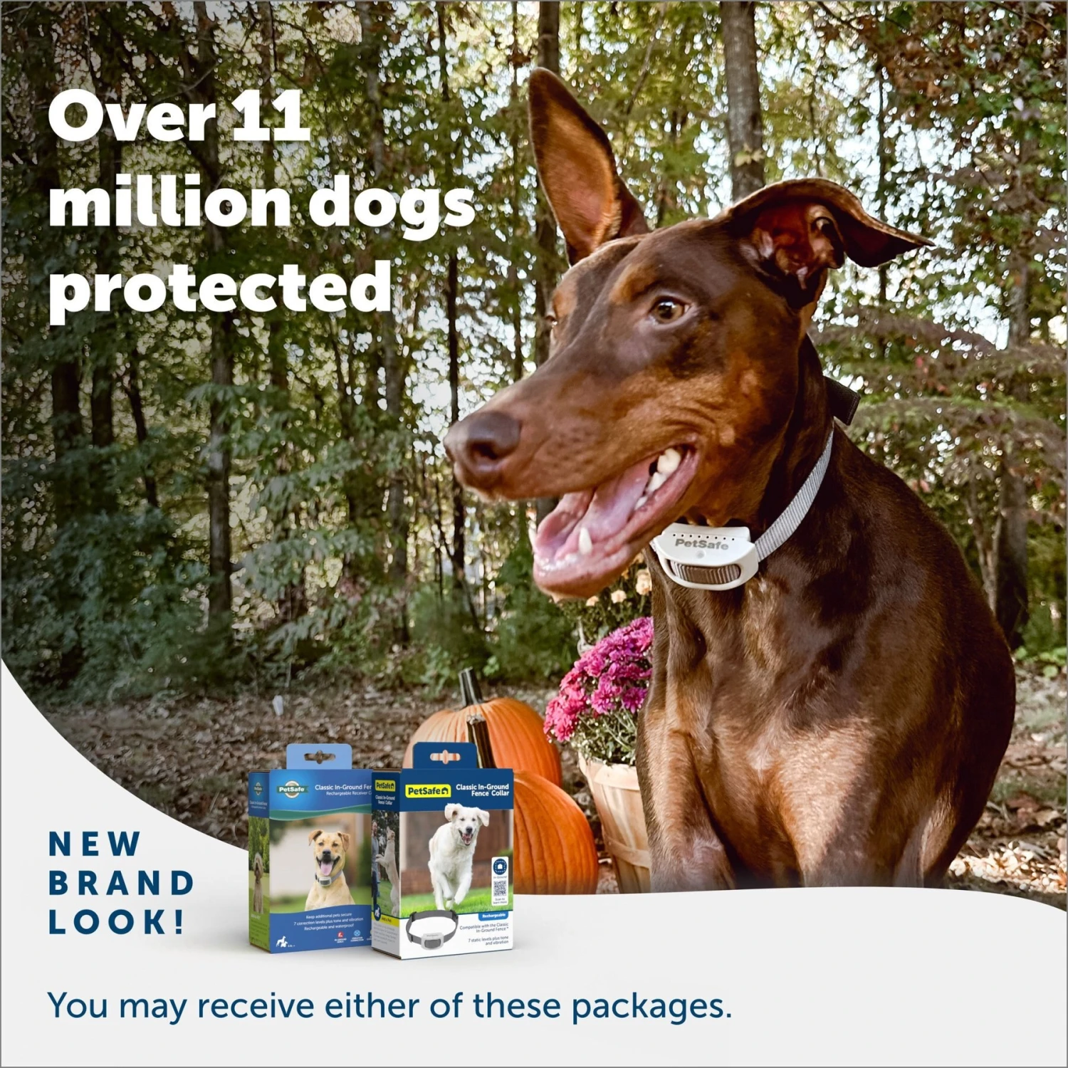 PetSafe Classic In-Ground Fence Rechargeable Receiver Dog & Cat Collar 8 PetSafe Classic In-Ground Fence Rechargeable Receiver Dog & Cat Collar - Image 6