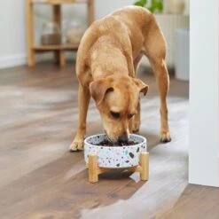 Frisco Elevated Terrazzo Non-skid Ceramic Bowl With Bamboo Stand -Pet Dog Supply Store 363375 PT2. AC SS1800 V1657657266