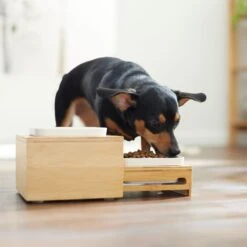 Frisco Elevated Non-Skid Bamboo Melamine Bowl Double Diner With Bamboo Stand -Pet Dog Supply Store 363385 PT5. AC SS1800 V1657657267