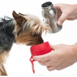KONG H2O Dog Stainless Steel Bottle 8 KONG H2O Dog Stainless Steel Bottle -Pet Dog Supply Store 364070 PT2. AC SS1800 V1643837546