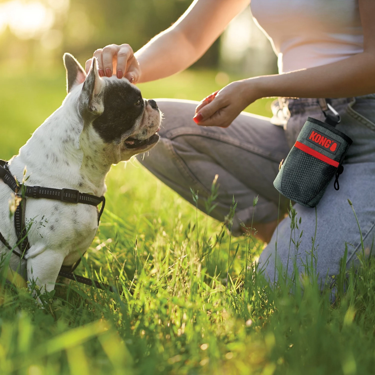 KONG Dog Treat Bag, Red & Black, Small 4 KONG Dog Treat Bag, Red & Black, Small - Image 2