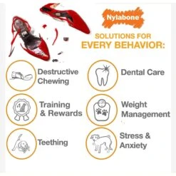 Nylabone Advanced Oral Care Original Flavor Puppy Dental Kit & Nylabone Puppy Pacifier Teething Toy Chew Teething Pacifier Bacon -Pet Dog Supply Store 365504 PT7. AC SS1800 V1644018124