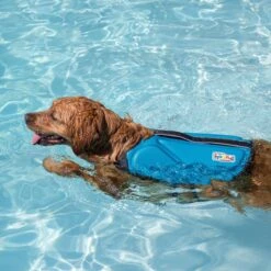 Outward Hound Dawson Swim Dog Life Jacket 13 Outward Hound Dawson Swim Dog Life Jacket -Pet Dog Supply Store 367143 PT5. AC SS1800 V1645229790