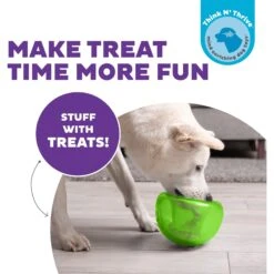 Planet Dog Orbee-Tuff Snoop Interactive Treat Dispensing Dog Toy -Pet Dog Supply Store 367753 PT1. AC SS1800 V1644532589