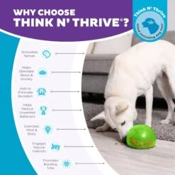 Planet Dog Orbee-Tuff Snoop Interactive Treat Dispensing Dog Toy -Pet Dog Supply Store 367753 PT5. AC SS1800 V1687966996