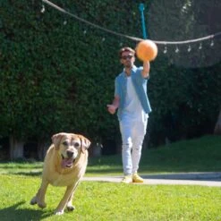 Outward Hound Launch A Ball Tennis Dog Toy -Pet Dog Supply Store 368206 PT4. AC SS1800 V1644530490