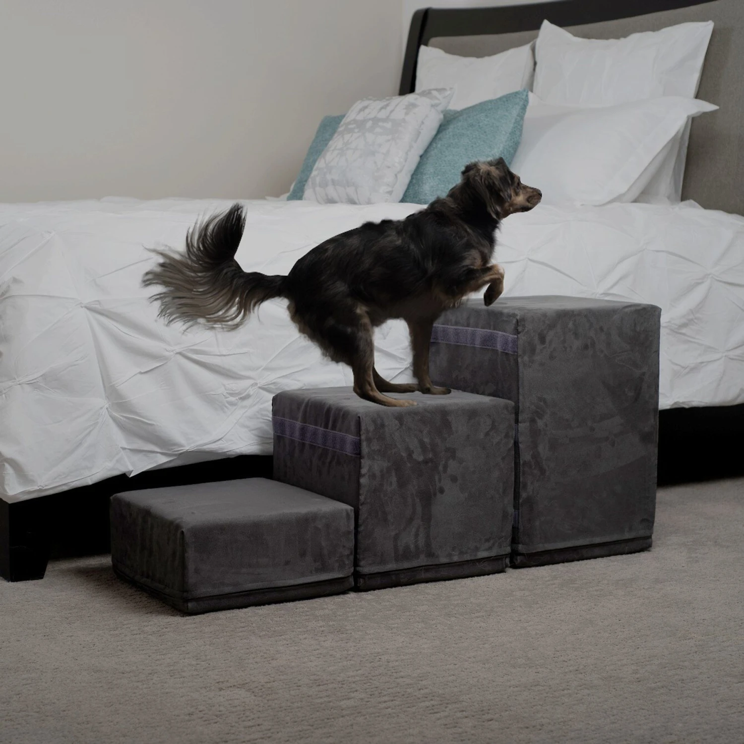 Royal Ramps 2-Step Dog & Cat Stairs 8 Royal Ramps 2-Step Dog & Cat Stairs - Image 6