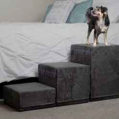 Royal Ramps 2-Step Dog & Cat Stairs 19 Royal Ramps 2-Step Dog & Cat Stairs -Pet Dog Supply Store 368351 PT8. AC SS1800 V1645587790