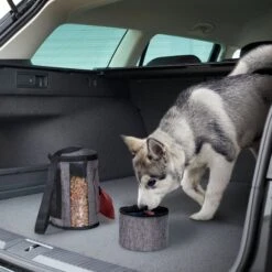 Pet Parade Pooch Pal Dog Feeder, Gray -Pet Dog Supply Store 369419 PT4. AC SS1800 V1648516311