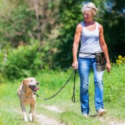 Pet Parade Pooch Pal Dog Feeder, Gray -Pet Dog Supply Store 369419 PT6. AC SS1800 V1648515121