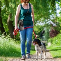 Pet Parade Pooch Pal Dog Feeder, Gray -Pet Dog Supply Store 369419 PT7. AC SS1800 V1648505834