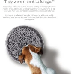 Pet Parents Forager Snuffle Mat & Slow Feeder Dog Bowl 14 Pet Parents Forager Snuffle Mat & Slow Feeder Dog Bowl -Pet Dog Supply Store 505542 PT3. AC SS1800 V1696255000