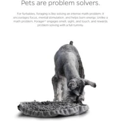 Pet Parents Forager Snuffle Mat & Slow Feeder Dog Bowl 16 Pet Parents Forager Snuffle Mat & Slow Feeder Dog Bowl -Pet Dog Supply Store 505542 PT5. AC SS1800 V1696255492