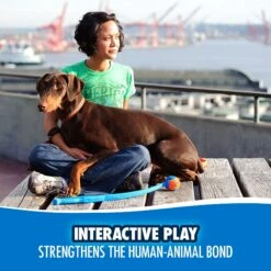 Chuckit! Classic Launcher Dog Toy, Color Varies -Pet Dog Supply Store 53211 PT4. AC SS1800 V1534454670