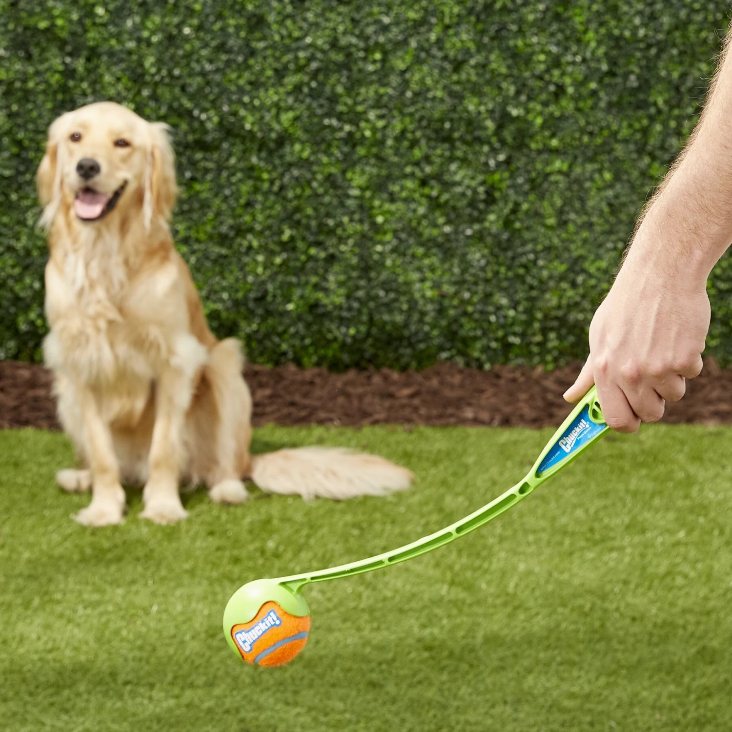 Chuckit! Junior Launcher Dog Toy, Color Varies 4 Chuckit! Junior Launcher Dog Toy, Color Varies - Image 2