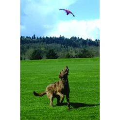 Chuckit! Flying Squirrel Dog Toy, Color Varies -Pet Dog Supply Store 53222 PT2. AC SS1800 V1602325859